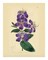 Framed Art Botanical Series 664 - Nature-Inspired Wall 10x8 inch